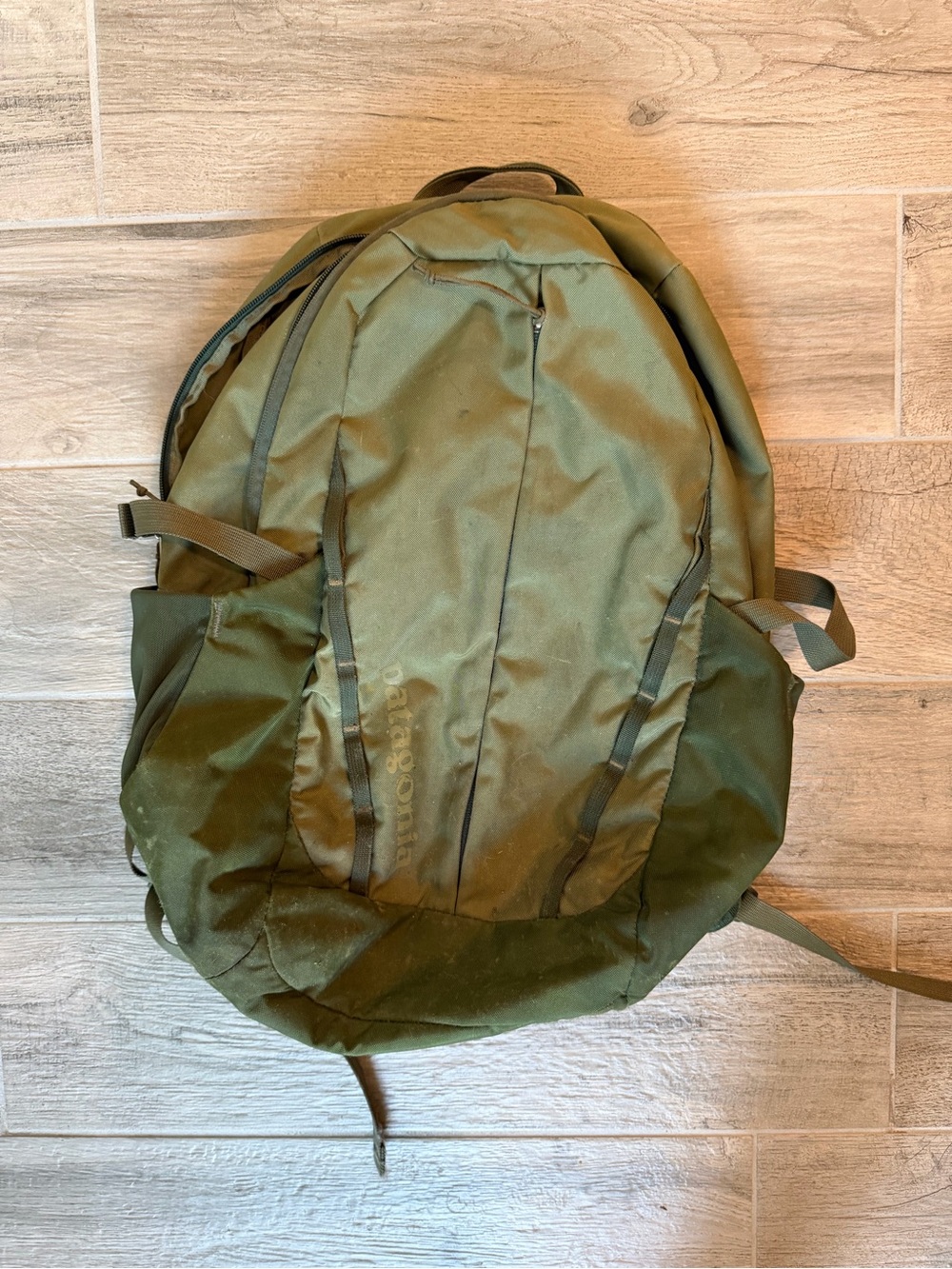 Patagonia Olive Green Backpack